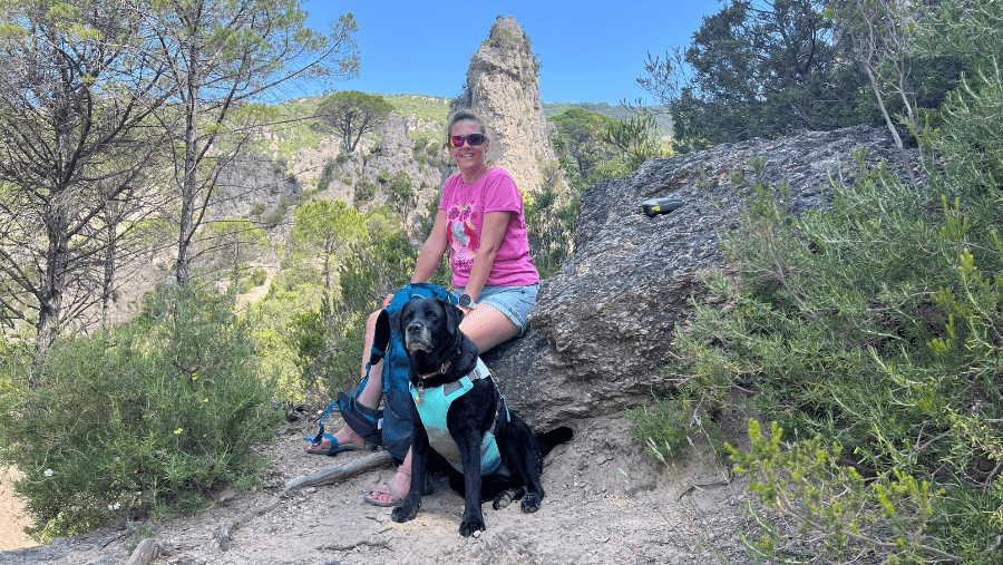 le harnais fraicheur permet à ce chien de randonner l'été quand il fait chaud