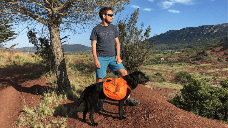 ce chien porte un sac de bât de très bonne qualité pour la randonnée