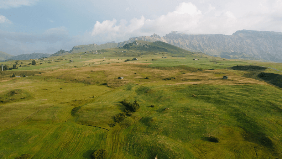 Les montagnes du Sud-Tyrol avec un chien