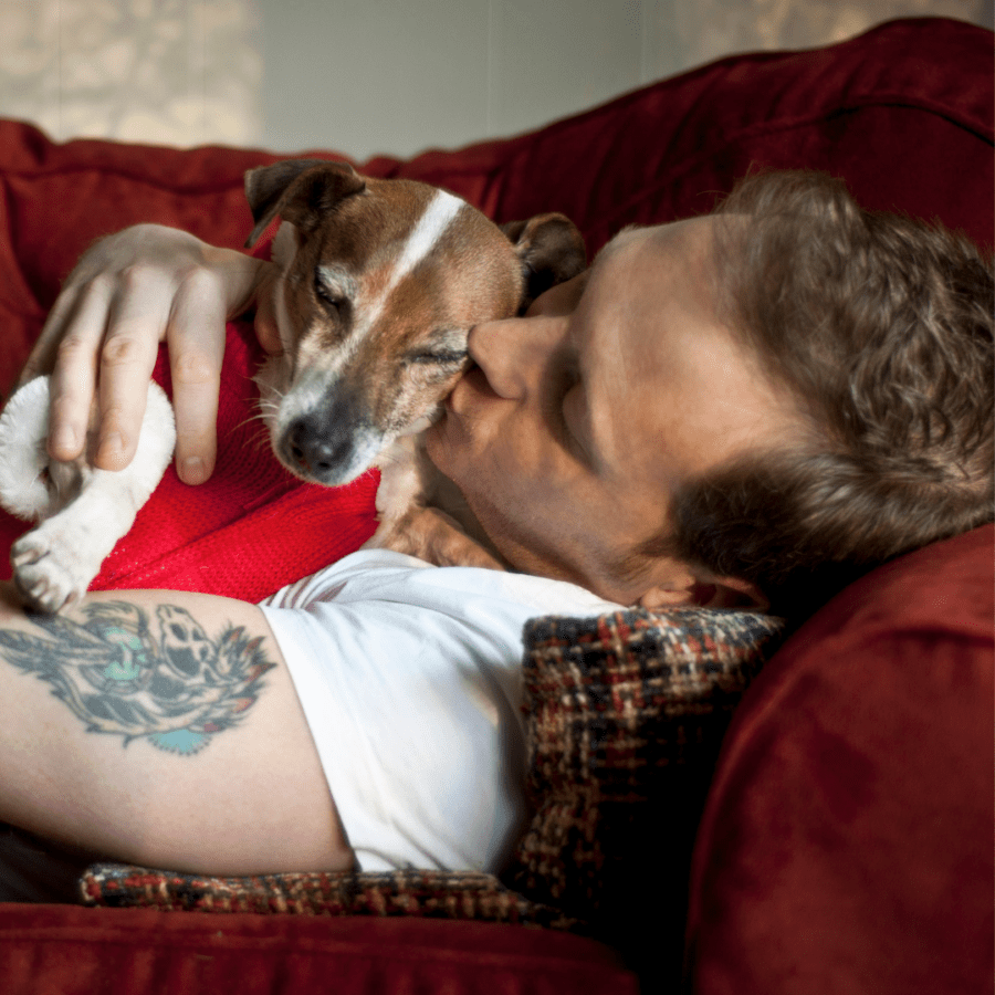 un homme fait un câlin à son chien jack russel terrier