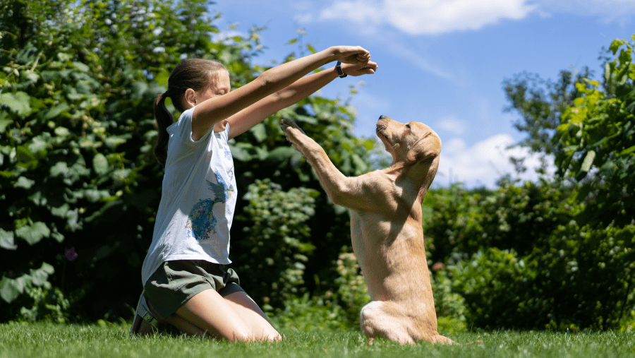 Top 10 des plus beaux jardins à visiter avec son chien