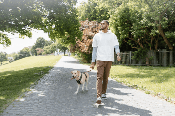 Les 15 meilleurs parcs et jardins à Paris où promener son chien