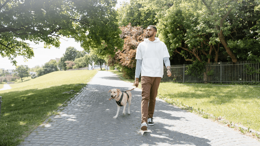 Les 15 meilleurs parcs et jardins à Paris où promener son chien