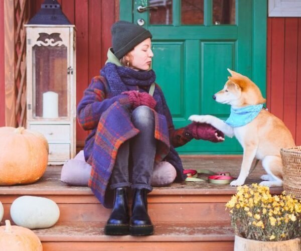 Où partir avec votre chien cet automne ?