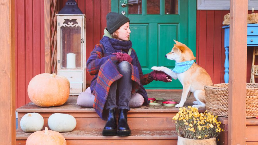 Où partir avec votre chien cet automne ?