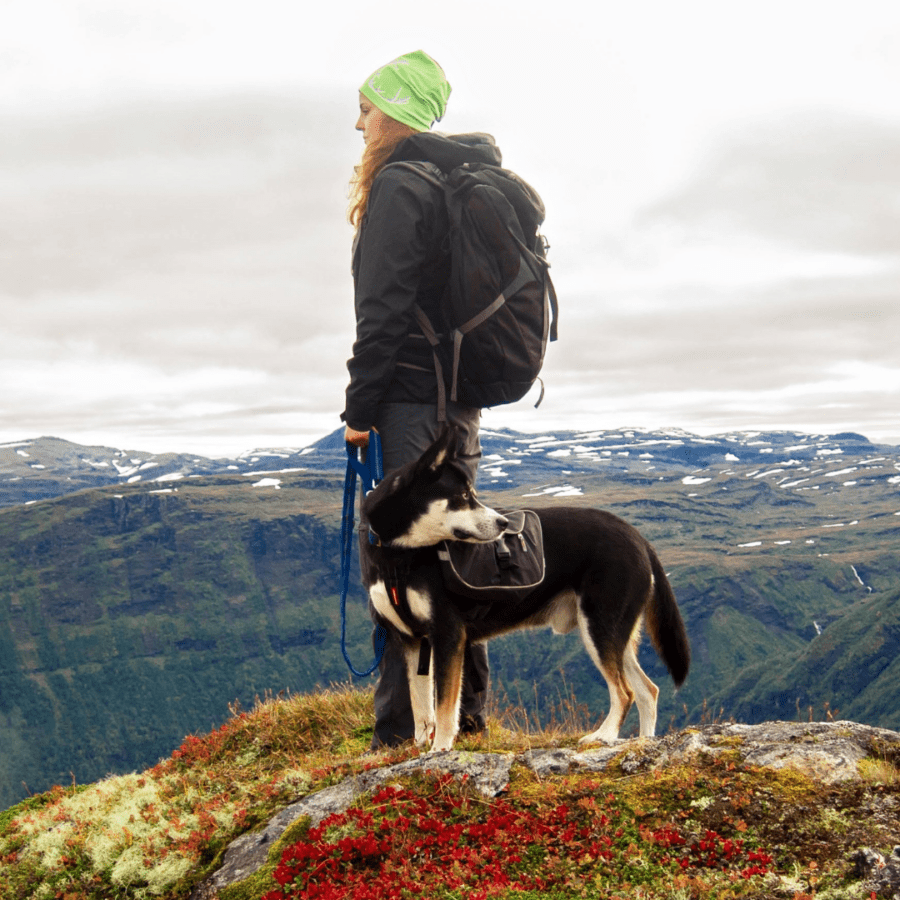 ce chien et cette personne sont des aventuriers voyageant en van avec le chien dans une caisse de transport de qualité Priorpet