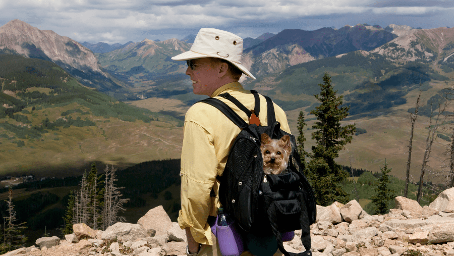 un homme regarde la montagne avec son chien dans le sac à dos pendant la randonnée