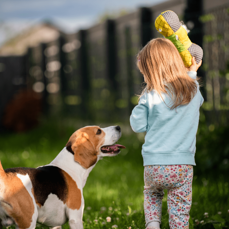 enfant qui joue avec son chien dans un jardin