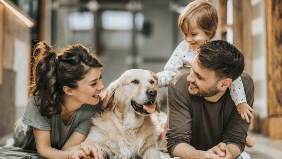 une famille avec un enfant et un gros chien profite de sa location de vacances parmi les meilleures marques d'hébergements qui acceptent les chiens