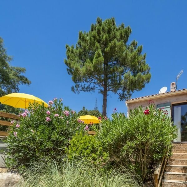 Jardin méditerranéen de La Villa Gioia par Villas du Sud en Corse-du-Sud en Corse à Araggio