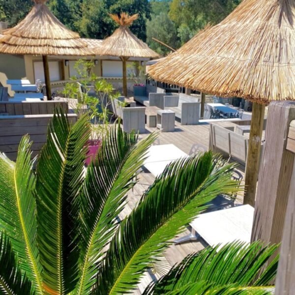 Les transats et parasols sous les palmiers de l'espace piscine du Camping Pertamina à Bonifacio en Corse-du-sud en Corse