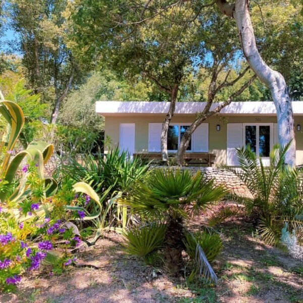 La façade d'un mobil-home sous les pins et palmiers du Camping Pertamina à Bonifacio en Corse-du-sud en Corse