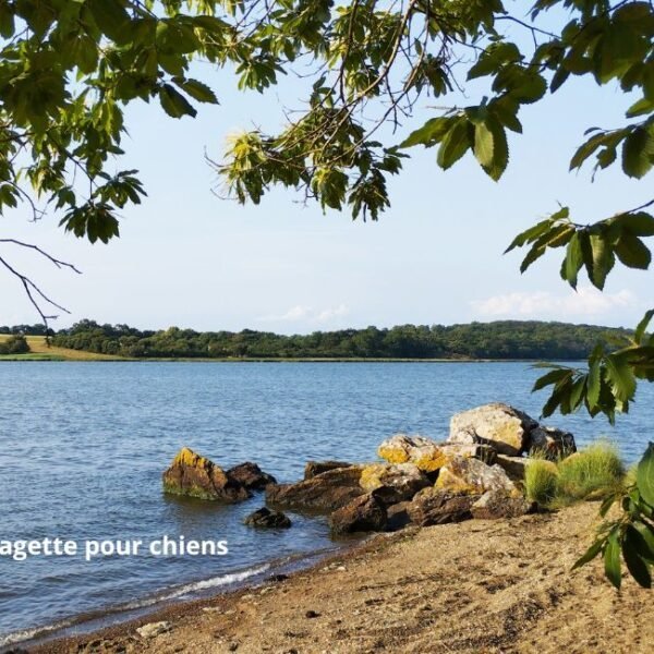 Camping Les Embruns
