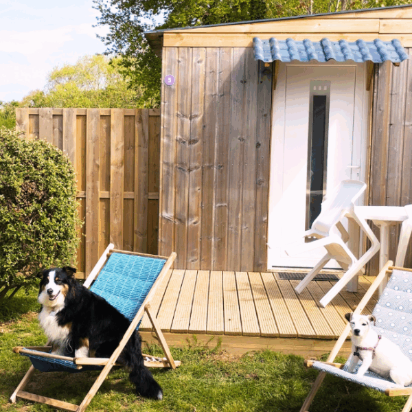 deux chiens en vacances au camping les embruns dans le Morbihan - EmmèneTonChien.com
