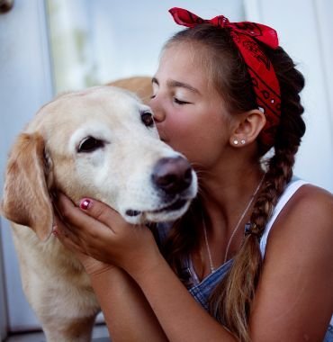 vieux chien malade qui reçoit un bisou de la jeune fille pour l'aider à guérir pendant les vacances