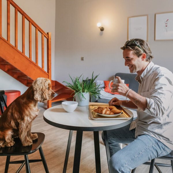 Un chien assis à table avec son maitre dans un appartement de l'Appart'City Confort Montpellier Saint-Roch à Montpellier dans l'Hérault en Occitanie