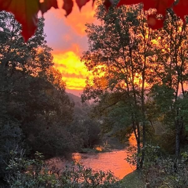 Vue sur un magnifique coucher de soleil dans la forêt et sur la rivière du Gîte insolite du Domaine Pont Roche en Côte d'or en Bourgogne-Franche-Comté à Frénois