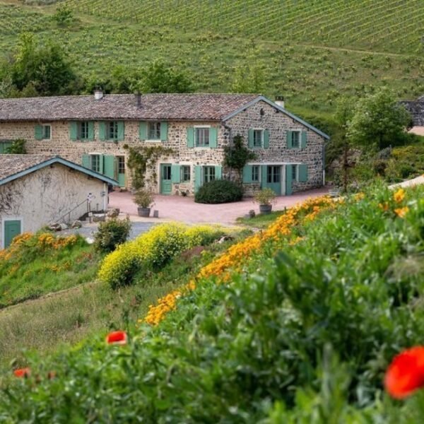 Vue depuis une colline fleurie du Domaine Baron de l’Ecluse dans le Rhône en Auvergne-Rhône-Alpes à Saint Lager et des vignes