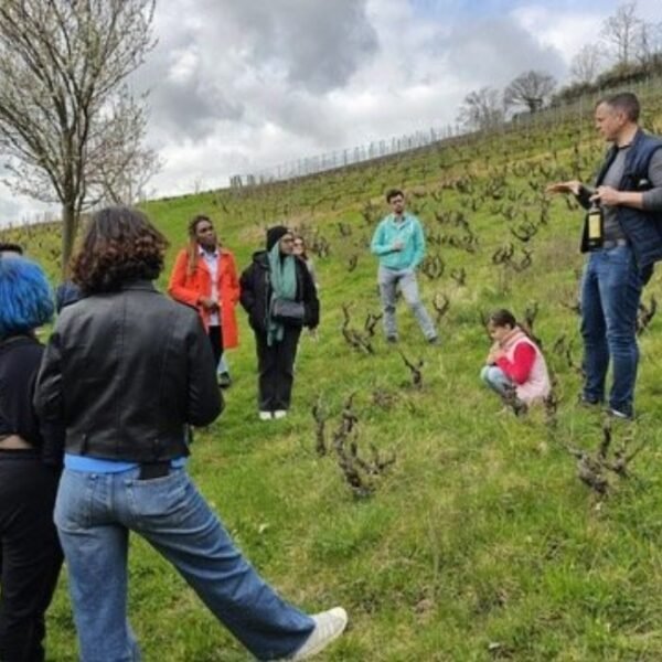 Visite du domaine et des vignes par Jean-François Pégaz, propriétaire et hôte du Domaine Baron de l’Ecluse dans le Rhône en Auvergne-Rhône-Alpes à Saint Lager