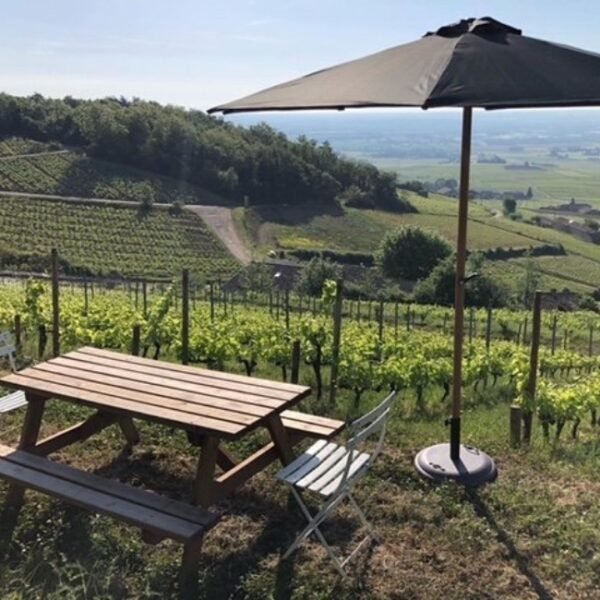 L'une des 5 aires de pique-nique, avec vue panoramique sur les vignes et la vallée de Saône du Domaine Baron de l’Ecluse dans le Rhône en Auvergne-Rhône-Alpes à Saint Lager