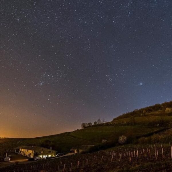 Photo des vignes du du domaine sous une nuit étoilée pour la Soirée G’Astronomie édition 2024 s du Domaine Baron de l’Ecluse dans le Rhône en Auvergne-Rhône-Alpes à Saint Lager