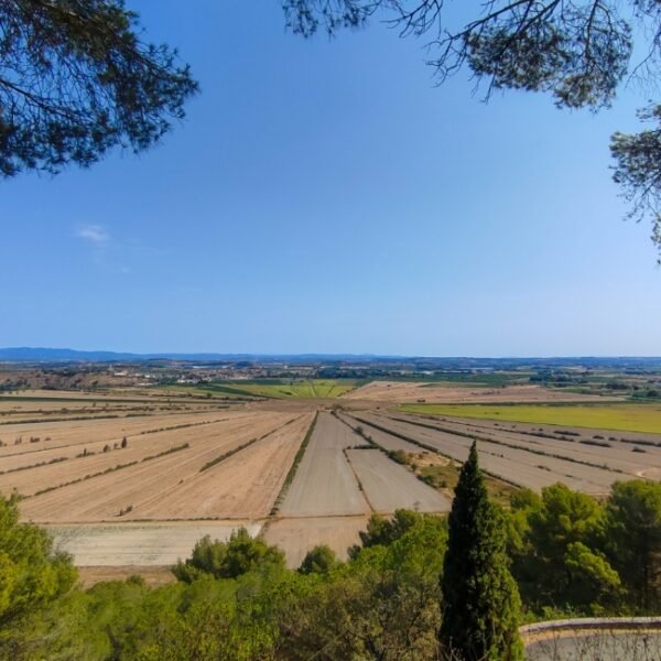 Vue sur les anciennes culture en forme de soleil de L'Oppidum d'Ensérune dans l'Hérault en Occitanie à Nissan-lez-Ensérune