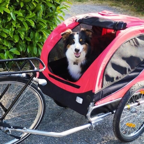 Un chien dans un vélo avec remorque pour animaux, proposé à la location au Camping Les Embruns à Camoëlin dans le Morbihan en Bretagne