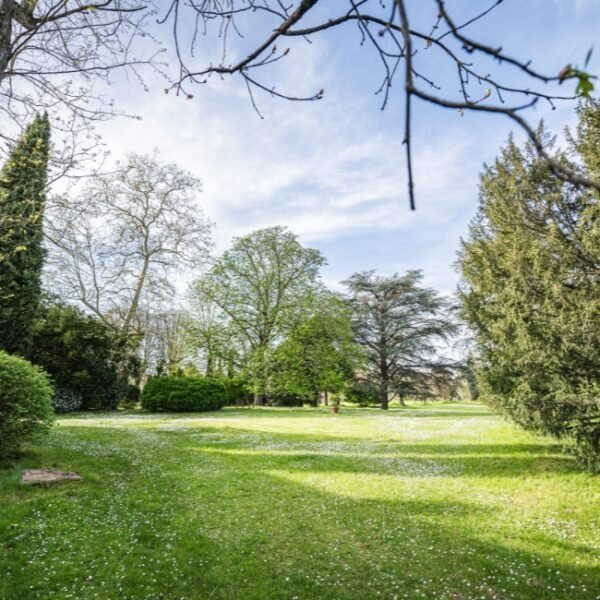 L'espace vert de 1000m carré du Gîte la Ferme du Château à Marquefave en Haute-Garonne en Occitanie