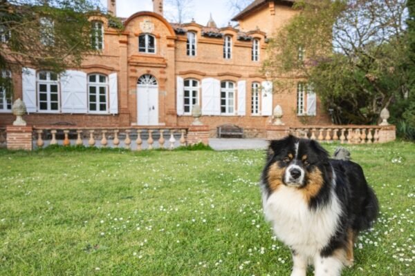 Le Domaine du Château