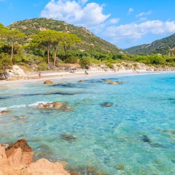 Une plage de Corse à 5km du Camping Pertamina à Bonifacio en Corse-du-sud en Corse