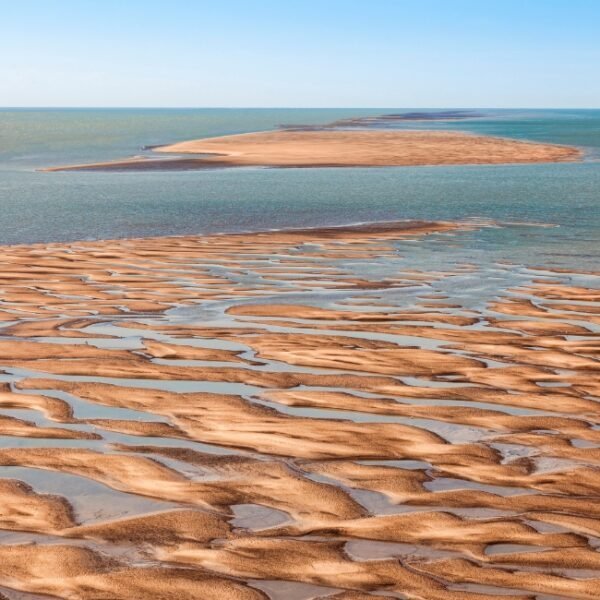 Le parc régional de l'estuaire de la Seine des Gîtes Le Chêne Pommier à Fatouville-Grestain dans l'Eure en Normandie