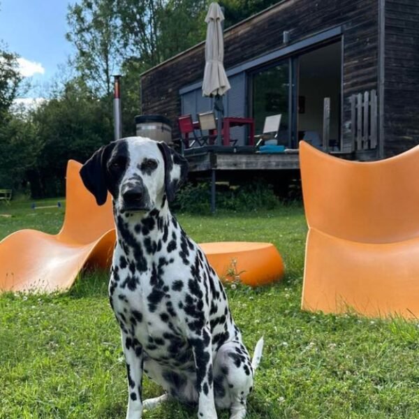 Chiens acceptés chez Gîte insolite du Domaine Pont Roche en Côte d'or en Bourgogne-Franche-Comté à Frénois