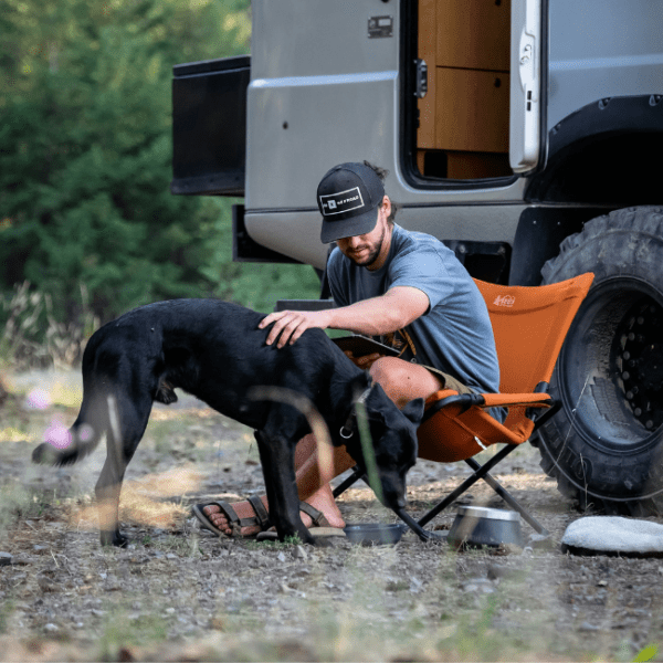 Un chien sur un emplacement de camping-car d'Aquadis Loisirs - Camping de Santenay *** à Santenay en Côte d'Or en Bourgogne-Franche-Comté