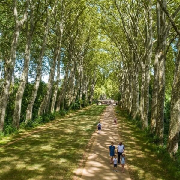 Une balade en forêt à proximité de l'Aquadis Loisirs - Camping de Bourges *** à Bourges dans le Cher dans le Centre Val de Loire