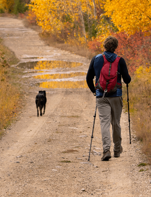 Se promener en automne