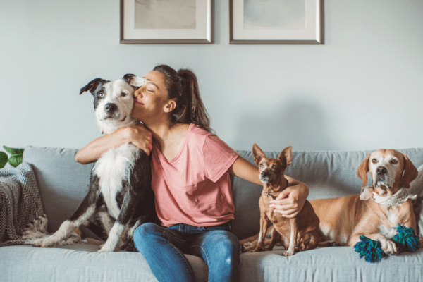 Chien stérilisé ou non : avantages et inconvénients pour les vacances