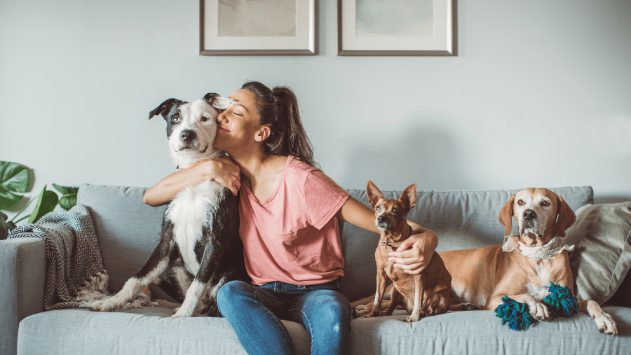 Chien stérilisé ou non : avantages et inconvénients pour les vacances