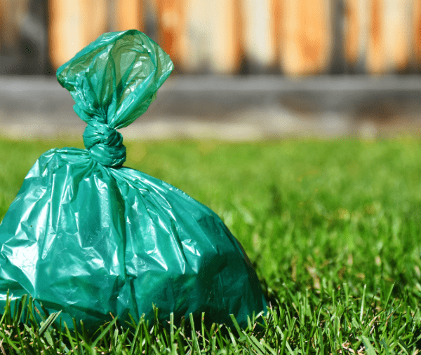 Un sac poubelle sur un gazon.