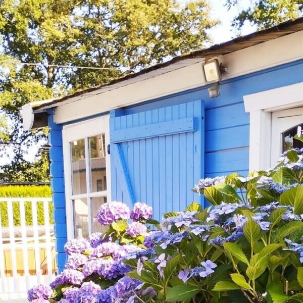 La façade d'un mobil-home bleu, entouré de buissons à fleurs au Camping Les Embruns à Camoëlin dans le Morbihan en Bretagne