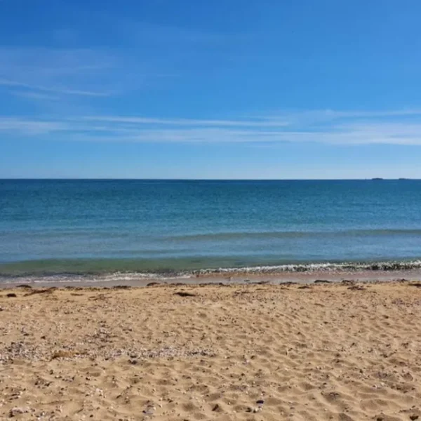 Une plage à proximité du Gîte La Bignone à Saint-Marcouf dans la Manche en Normandie