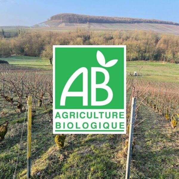 Domaine en agriculture biologique à la Cave Champagne Harlin Père et Fils dans la Marne à Mareuil-le-Port en Lorraine