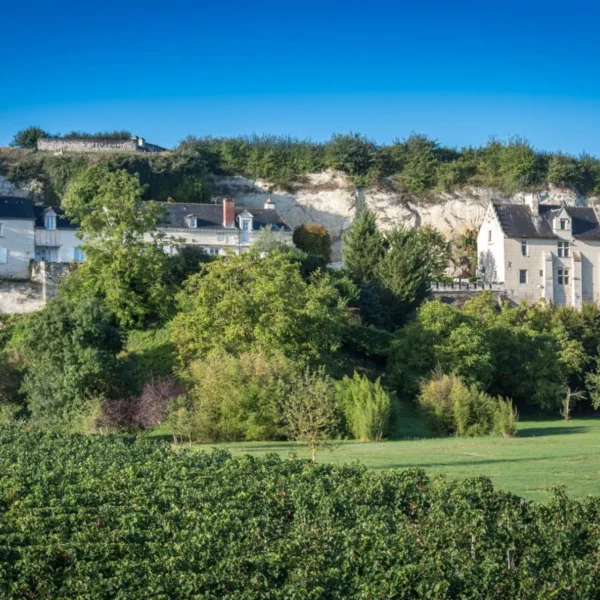 Les paysages autour de l'Hôtel Demeure de la Vignole à Turquant en Maine-et-Loire dans les Pays de la Loire