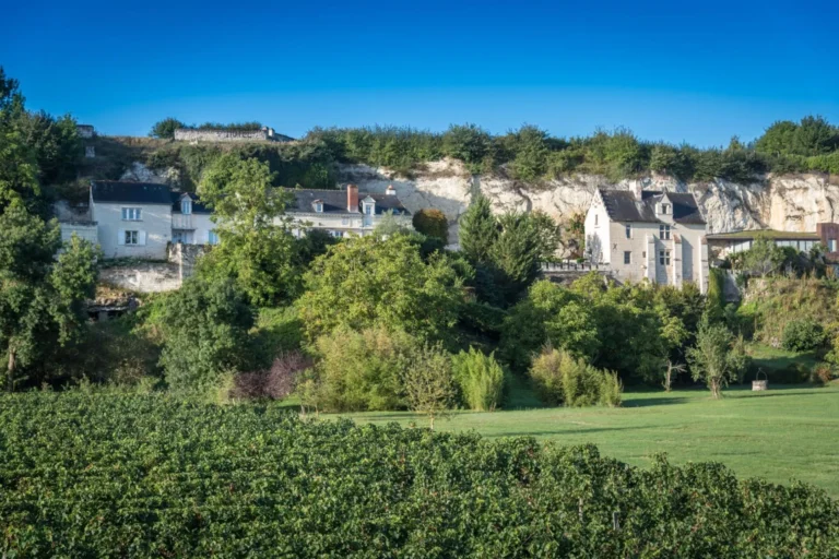Les paysages autour de l'Hôtel Demeure de la Vignole à Turquant en Maine-et-Loire dans les Pays de la Loire