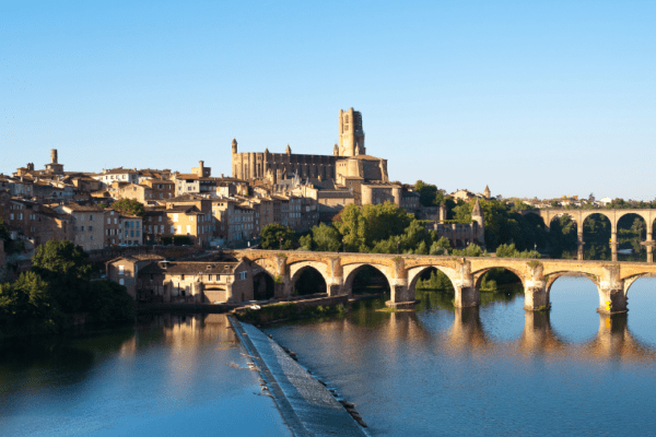 Albi : un voyage avec votre chien au coeur du Tarn