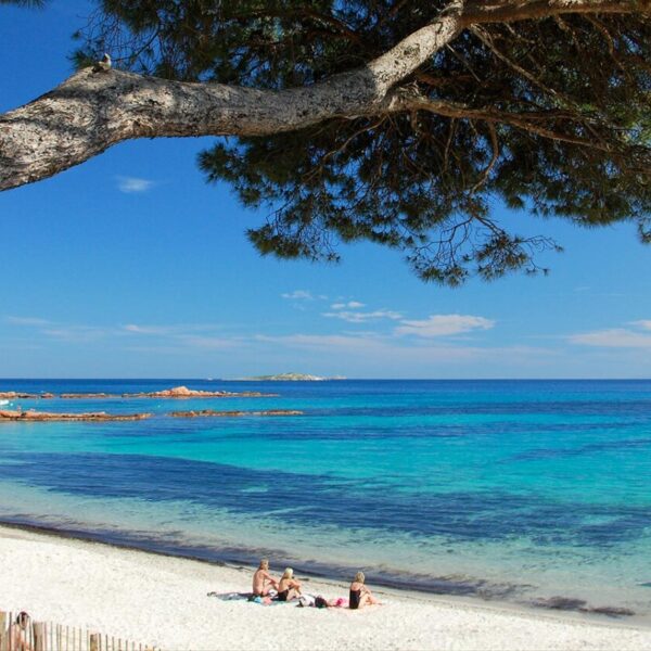 Plage Palombaggia du Camping Porto-Vecchio à Porto-Vecchio en Corse-du-Sud en Corse