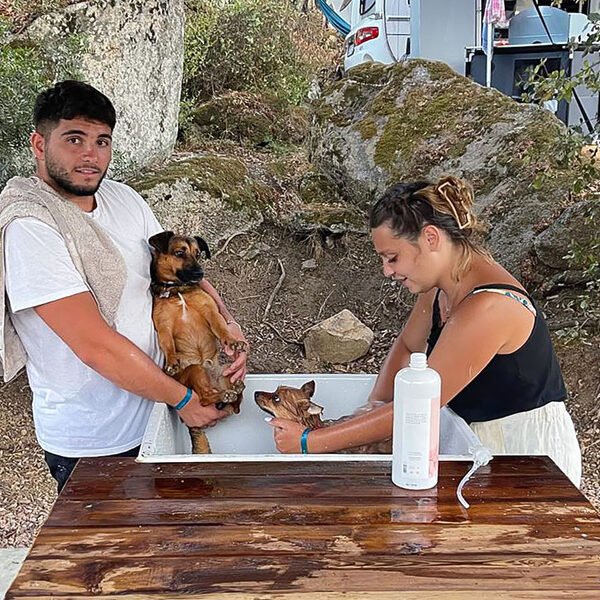 Vacanciers du camping la Vetta en Corse qui lavent leur chien dans la cani-douche