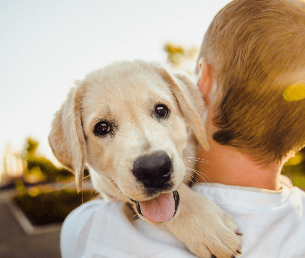 chiot heureux car il porte un nom inspiré par les voyages de sa famille