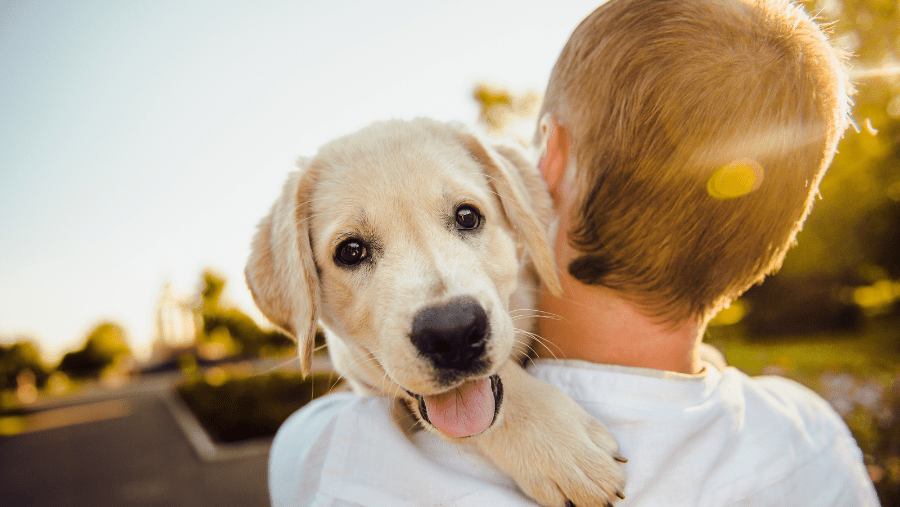 Trouvez le nom de votre futur chien grâce à vos voyages