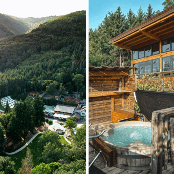 Vue du ciel du domaine du hirtz, en pleine nature au coeur des vosges