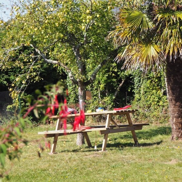 Le jardin avec une table de piquinique au Gîte Le Bois aux Écureuils à Fierville-les-mines dans la Manche en Normandie